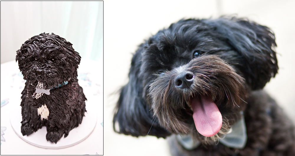 Dog groom cake black dog